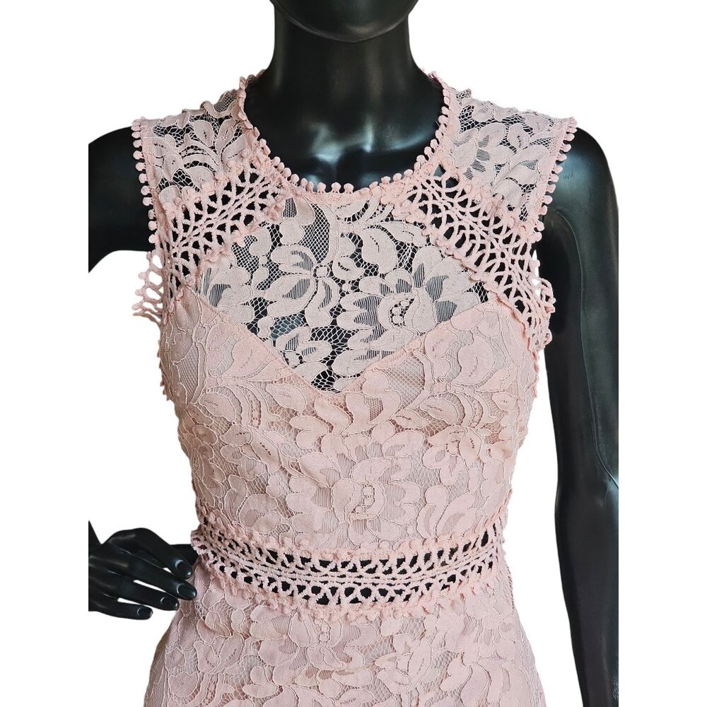Pink Lace Illusion Sheath Dress